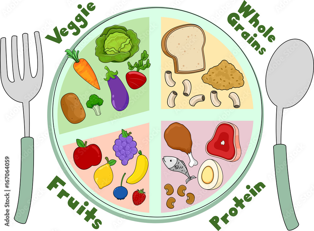Vecteur Stock Food Healthy Meal Plate | Adobe Stock