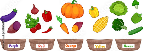 Vegetables Basket Sort By Color
