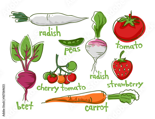 Fruits Vegetables Easy To Grow