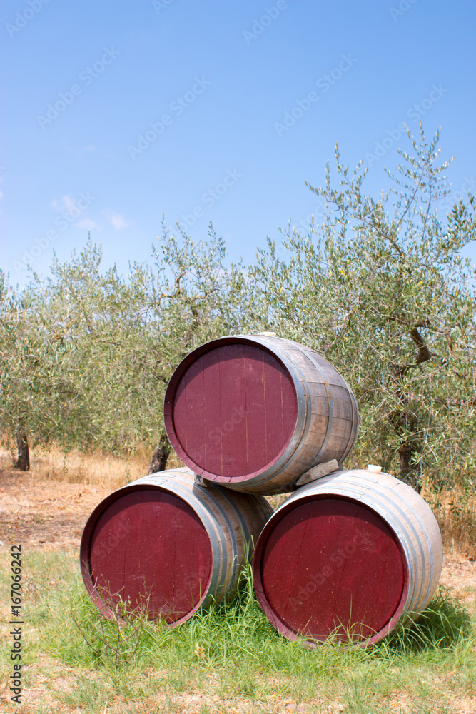 Obraz premium Weinfässer auf Weingut, Chianti, Toskana