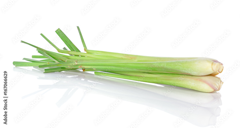 Fresh Lemon grass on a white background Fresh Lemon grass on a white background