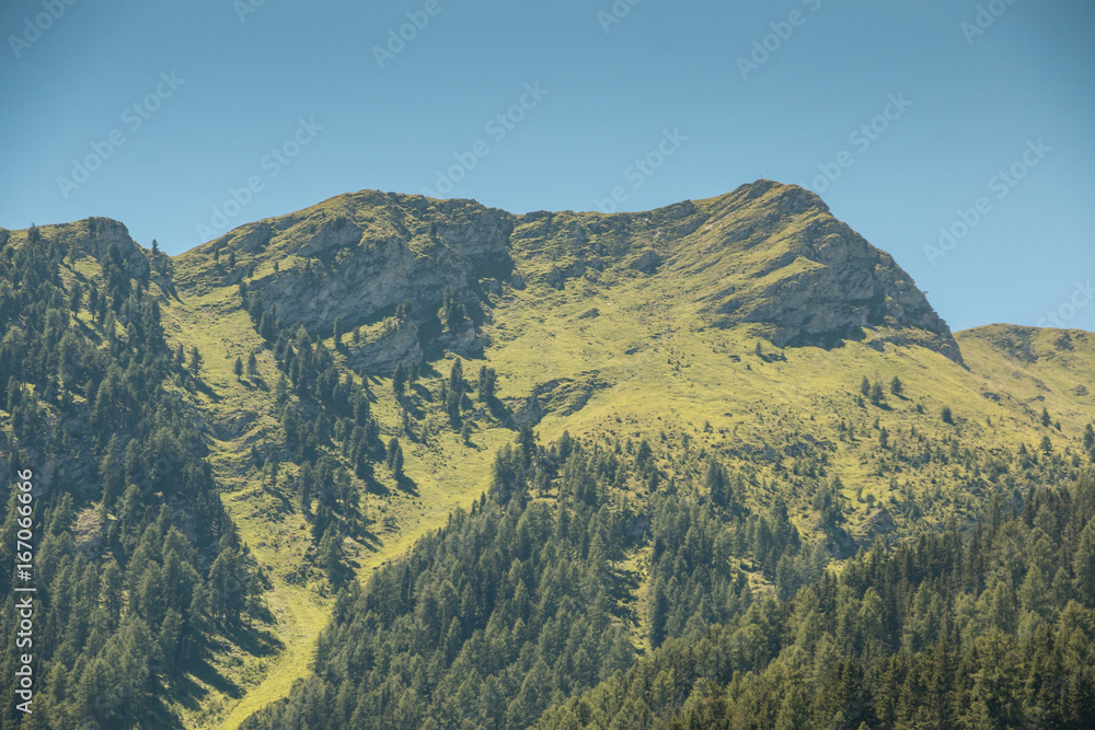 Fototapeta premium Berge und Wälder