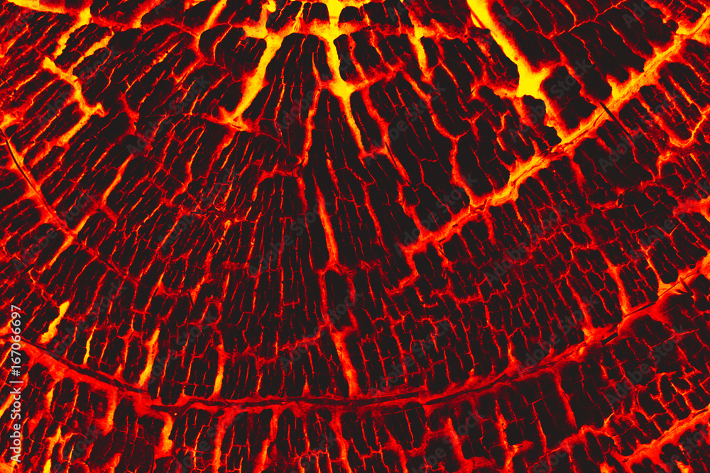 Lava burn wood texture background. Stock Photo Adobe Stock