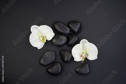 Spa wellness concept. Zen stones with orchids top view. Flatlay. 