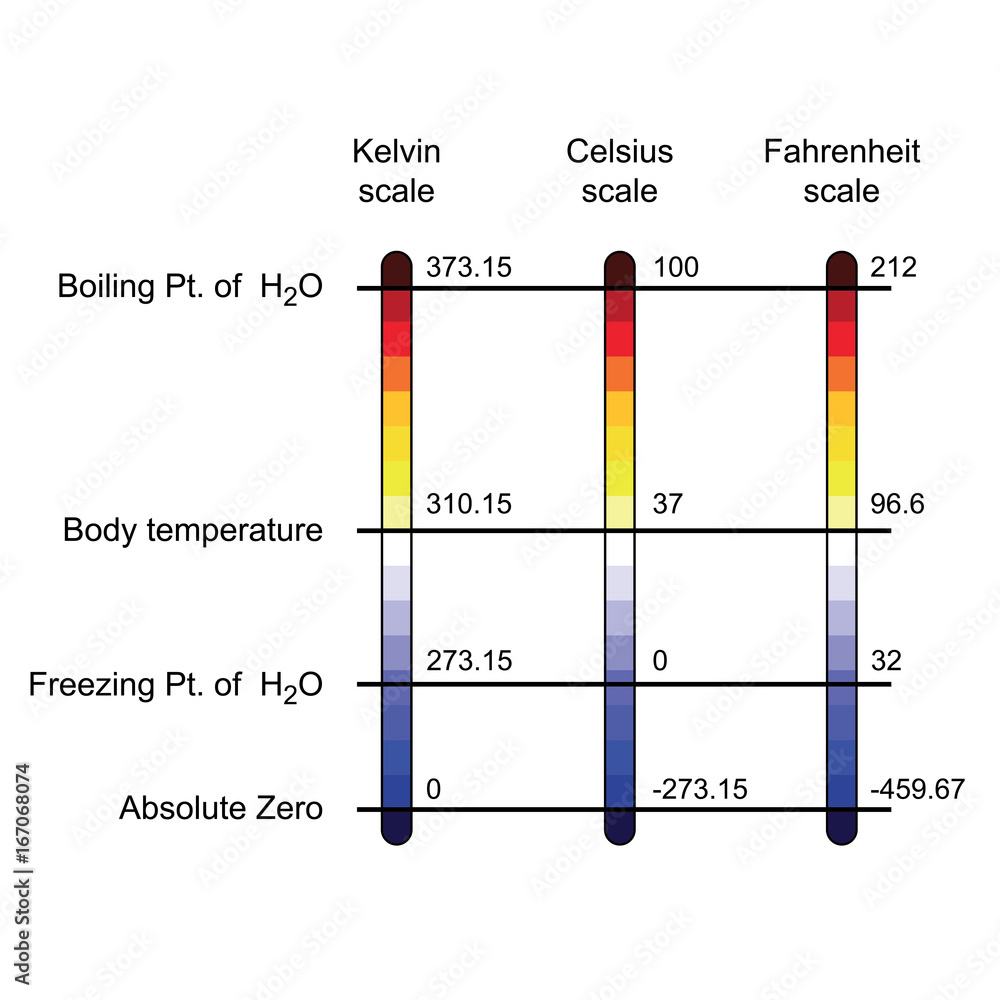 comparison of three temperature scales vector illustration Stock Vector