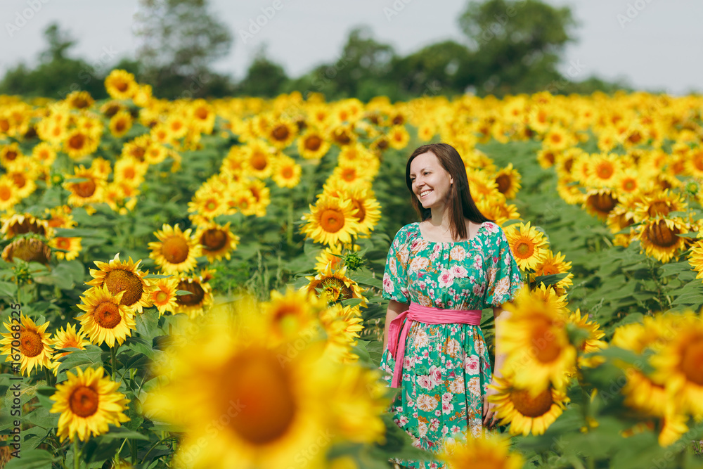 Brunette girl in a field of sunflowers Brunette girl in a field of sunflowers