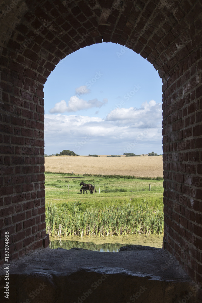 Fototapeta premium Skåne Summer Landscape