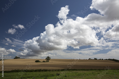 Skåne Summer Landscape