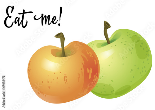 Two apples isolated on white background. Vector Illustration