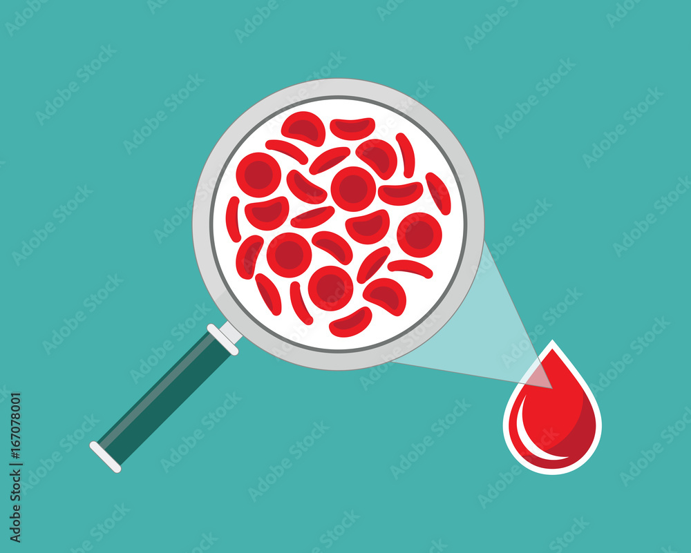 Red blood cells with magnifying glass - vector illustration Stock Vector |  Adobe Stock