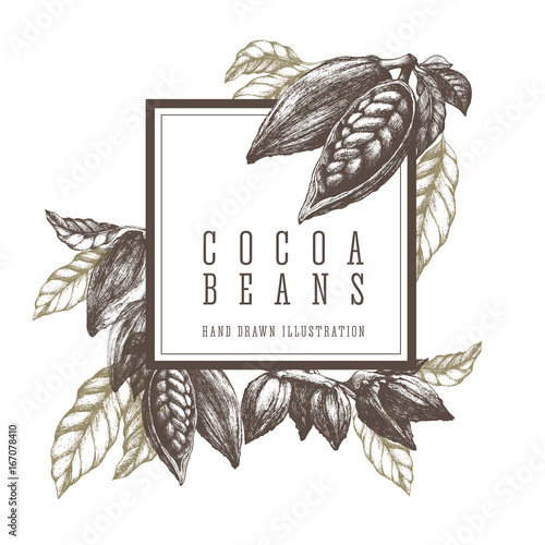 Cocoa beans and branch. Square frame template sketch illustration. Vector design elements hand drawn artwork.