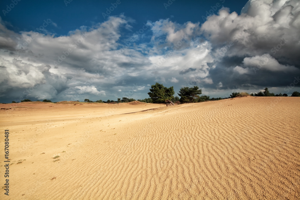 sand waves on dune during sunny day