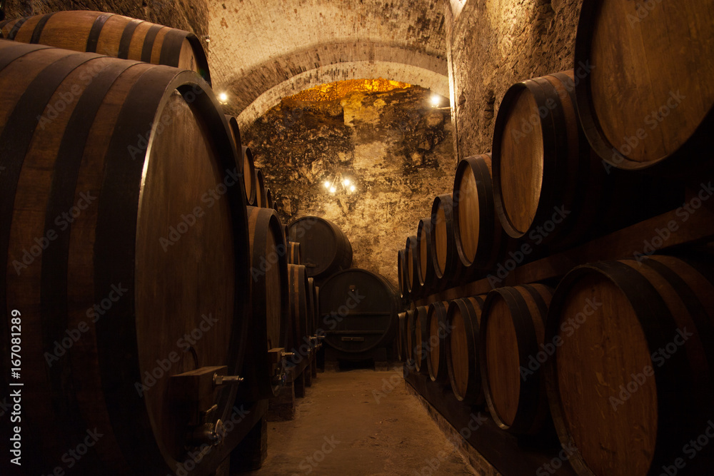 Cellar With Barrels For Storage Of Wine