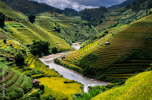 Rice fields on terraced of Mu Cang Chai District, YenBai province, Northwest Vietnam photo