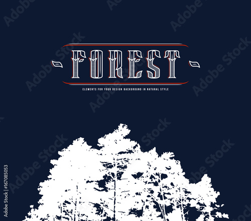 Texture of tree crowns