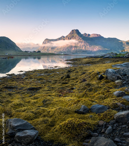 Low tide at peaceful summer evening in Lofoten, Norway