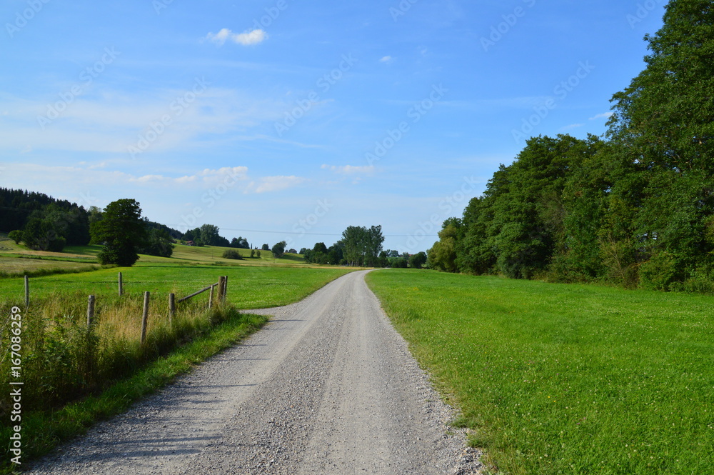 Idyllischer Weg unter blauem Himmel