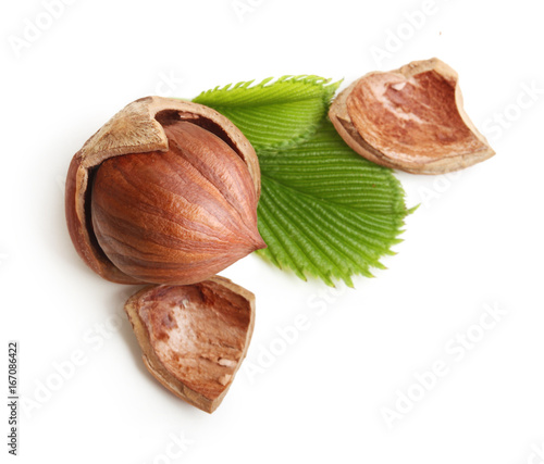 Forest nuts hazelnuts isolated