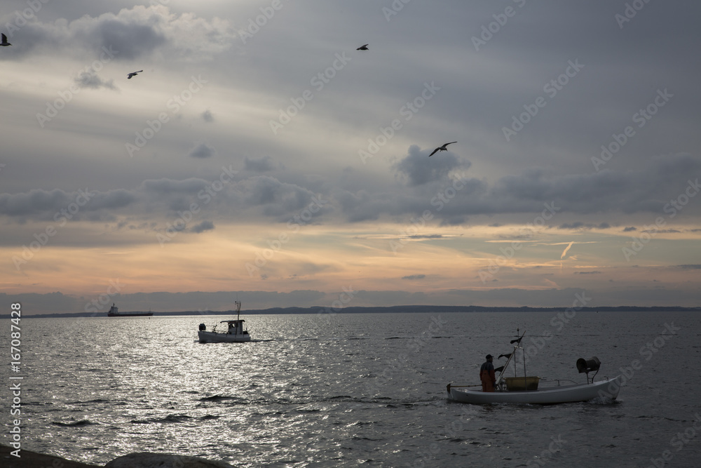 Obraz premium Evening in Skåne