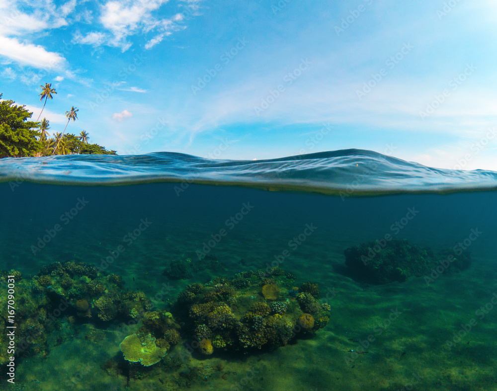 Fototapeta premium Double landscape with sea and sky. Split photo with tropical island and underwater coral reef.