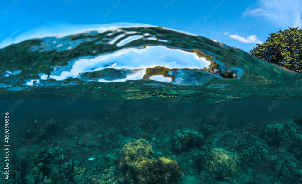 Double landscape with sea and sky. Sea water split photo. Undersea view of coral.