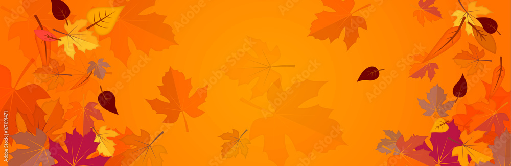 Fototapeta Banner on the autumn theme