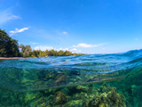 Split landscape with sea and sky. Split photo with tropical island and underwater coral reef.