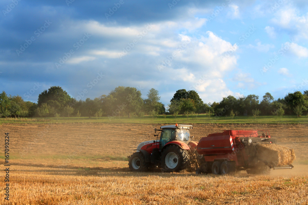 Obraz premium agriculture