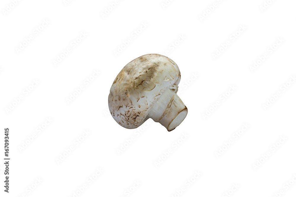 Fototapeta premium Natural, fresh mushroom, champignon, Isolated