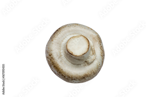 Natural, fresh mushroom, champignon, inverted. Isolated