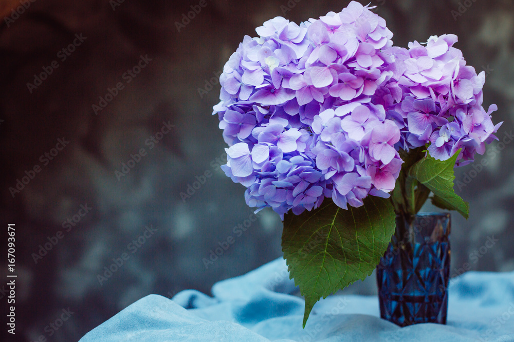 Obraz premium Beautiful bouquet of blue hydrangeas stands on the table