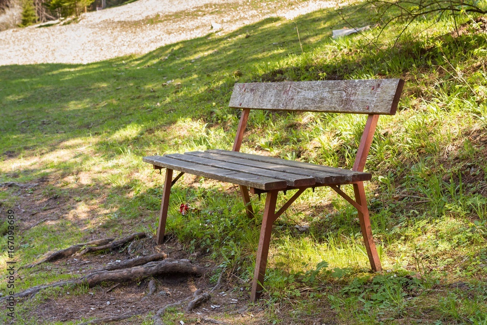 Wooden bench in the park in summer sunset Wooden bench in the park in summer sunset