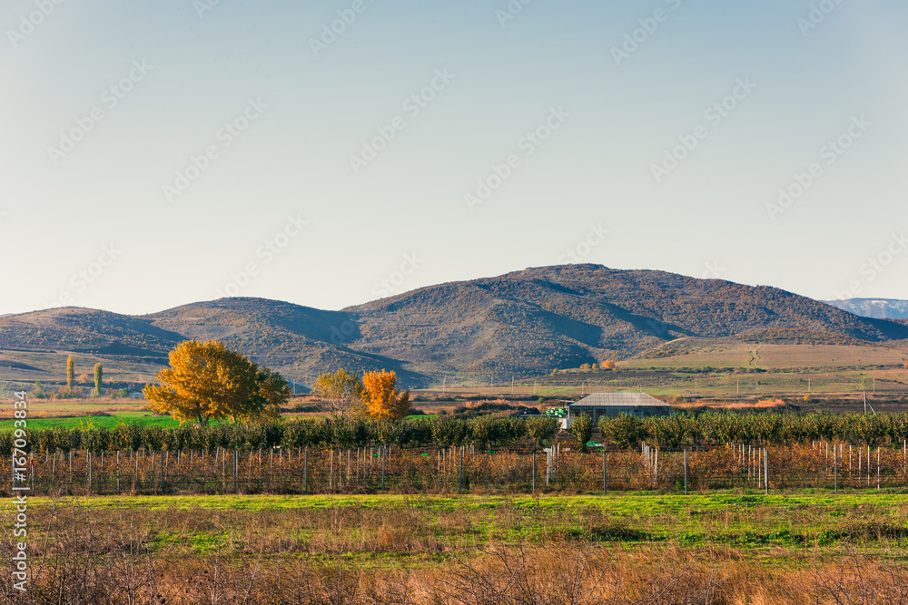 Bright colorful autumn rural landscape
