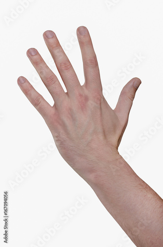 Man hand. Five fingers, unfolded palm