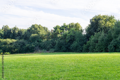 sky over the lawn and forest at summer. background, nature