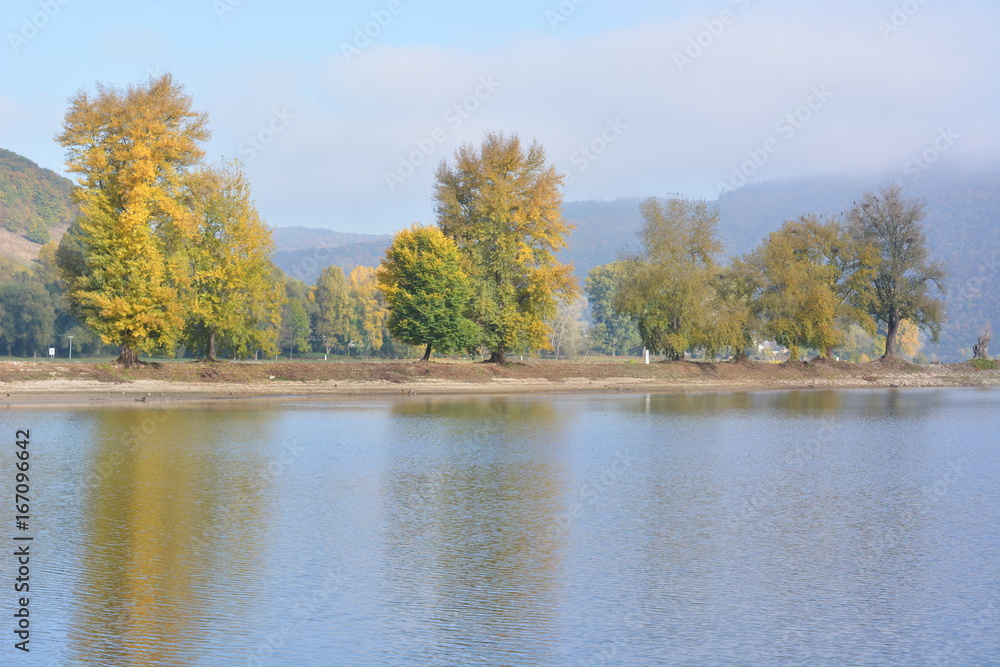 River rhine with golden leaves River rhine with golden leaves