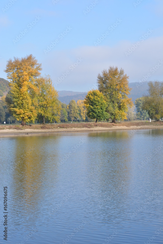 River rhine with golden leaves River rhine with golden leaves