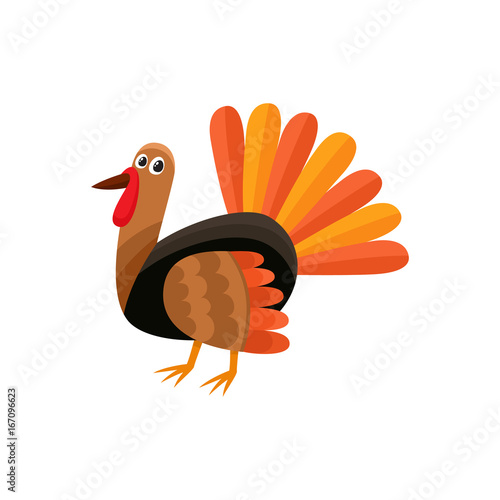 Cute and funny farm hen turkey character, cartoon vector illustration isolated on white background. Cartoon style turkey character, Thanksgiving Day symbol
