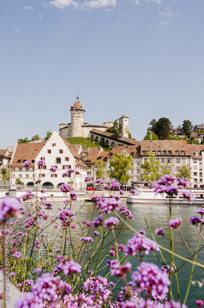Schaffhausen, Stadt, Munot, Festung, Altstadthäuser, Rhein, Rheinufer, Schifflände, Rheinschifffahrt, Uferweg, Sommer, Schweiz Schaffhausen, Stadt, Munot, Festung, Altstadthäuser, Rhein, Rheinufer, Schifflände, Rheinschifffahrt, Uferweg, Sommer, Schweiz