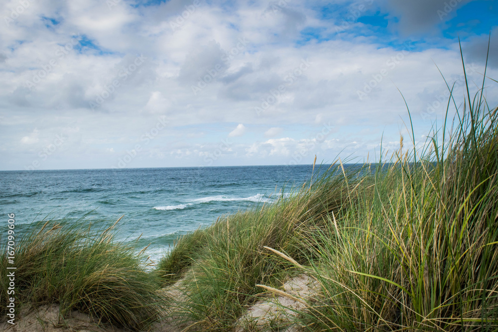 Blick auf das Meer