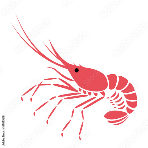 エビ　海老