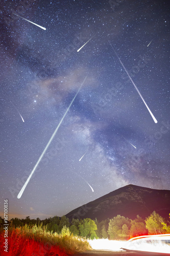 Pine trees silhouette Milky Way photo