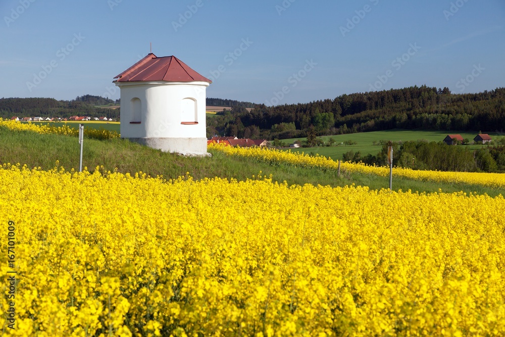 chapel and field of rapeseed, springtime landscape