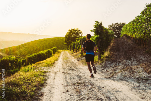 Man trail running in the vineyards at the sunset