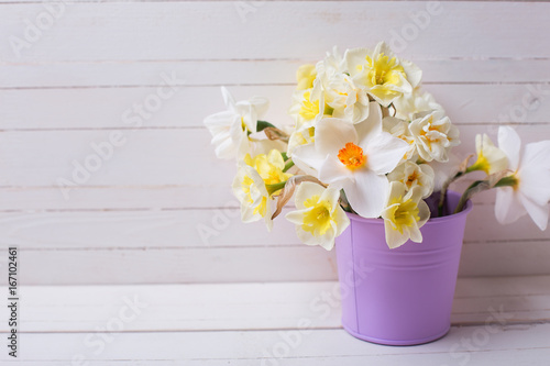 Fototapeta Naklejka Na Ścianę i Meble -  Bright yellow daffodils and tulips flowers in pot on white wooden background.