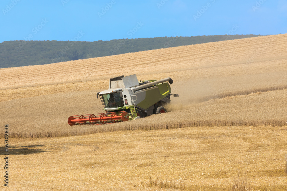 Obraz premium harvester