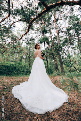Beautiful bride in the nature in a luxurious dress