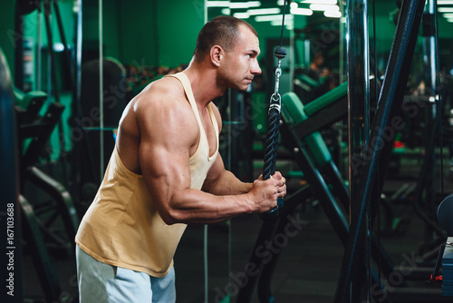 Картината върху платно Exercise for triceps in the gym