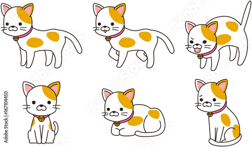 猫 ねこ ペット 飼い猫 ポーズ 雑種 MIX ミックス