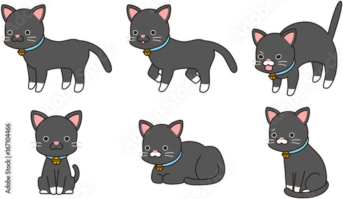 猫 ねこ ペット 飼い猫 ポーズ 雑種 MIX ミックス